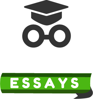 Bookwormessays